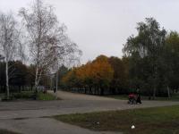 Осенью в парке на Бабурке