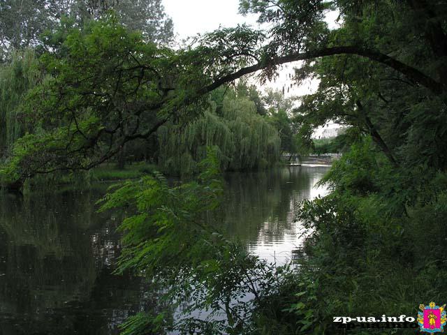 Озеро в Дубовой роще