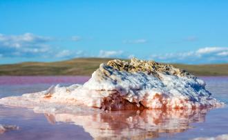 В апреле-мае здесь достаточно много водоплавающих птиц