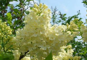 Однако первым - по уникальности планировки территории и красотой пейзажей, которые его окружают